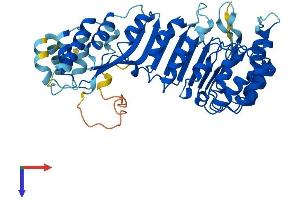 PRAME Family Member 7 (PRAMEF7) (AA 1-474) protein (His tag)