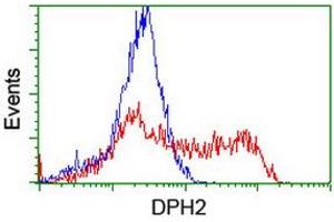 HEK293T cells transfected with either RC201382 overexpress plasmid (Red) or empty vector control plasmid (Blue) were immunostained by anti-DPH2 antibody (ABIN2455859), and then analyzed by flow cytometry. (DPH2 antibody)