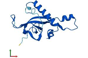 Protein Structure (PS) image for Ribosomal Protein L27 (RPL27) (AA 1-136) protein (His tag) (ABIN7556584)