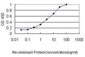 Detection limit for recombinant GST tagged AKAP12 is approximately 0. (AKAP12 antibody  (AA 1675-1782))