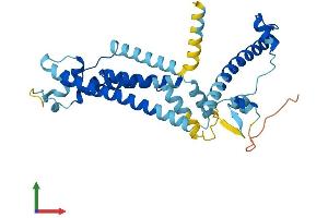AlphaFold protein structure predicition of Human Recombinant CALHM2 Protein, UniprotID Q9HA72 (CALHM2 Protein (AA 1-323) (His tag))