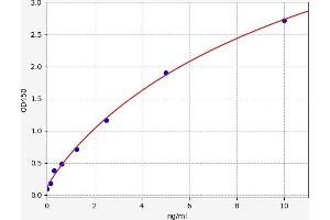 Typical standard curve (TNFRSF13C ELISA Kit)
