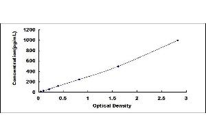 Typical standard curve (IL12B ELISA Kit)