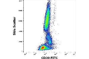 Flow cytometry surface staining pattern of human peripheral whole blood stained using anti-human CD39 (TU66) FITC antibody (4 μL reagent / 100 μL of peripheral whole blood). (CD39 antibody  (FITC))