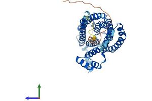 Protein Structure (PS) image for Ceramide Synthase 2 (CERS2) (AA 1-380) protein (His tag) (ABIN7560265)
