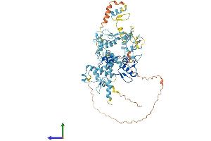 AlphaFold protein structure predicition of Human Recombinant ZNF667 Protein, UniprotID Q5HYK9