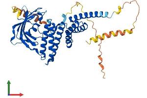 AlphaFold protein structure predicition of Mouse Recombinant Fkbp8 Protein, UniprotID O35465 (FKBP8 Protein (AA 1-402) (His tag))