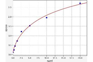 Metalloproteinase Inhibitor 2 (TIMP2) ELISA Kit