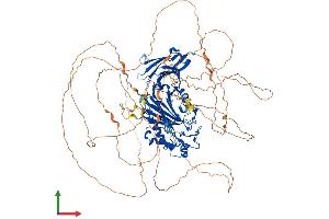 AlphaFold protein structure predicition of Mouse Recombinant Inpp5j Protein, UniprotID P59644 (INPP5J Protein (AA 1-1003) (His tag))
