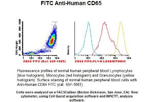 Image no. 1 for anti-CD65 antibody (FITC) (ABIN1112218) (CD65 antibody (FITC))