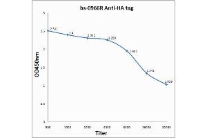 Antigen: 0. (HA-Tag antibody)