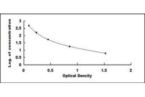 Typical standard curve (Lipotropin, beta - ELISA Kit)