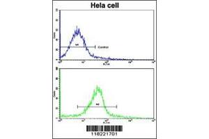 Figure 3. (Glutaredoxin 2 antibody  (C-Term))