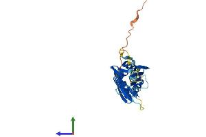 AlphaFold protein structure predicition of Mouse Recombinant Kcnrg Protein, UniprotID Q2TUM3 (KCNRG Protein (AA 1-264) (His tag))