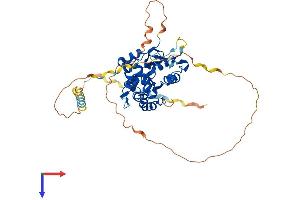 AlphaFold protein structure predicition of Human Recombinant HS3ST4 Protein, UniprotID Q9Y661 (HS3ST4 Protein (AA 1-456) (His tag))
