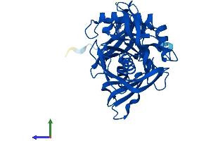 AlphaFold protein structure predicition of Mouse Recombinant L3hypdh Protein, UniprotID Q9CXA2