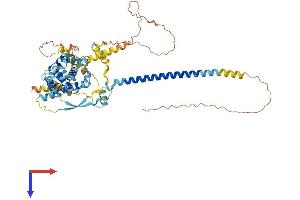 AlphaFold protein structure predicition of Human Recombinant FAM227A Protein, UniprotID F5H4B4 (LOC646851 Protein (AA 1-570) (His tag))