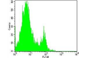 Flow Cytometry (FACS) image for anti-Fc gamma RII (CD32) antibody (FITC) (ABIN2144558) (Fc gamma RII (CD32) antibody (FITC))