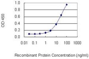 Detection limit for recombinant GST tagged PPP4C is 0. (PPP4C antibody  (AA 1-307))