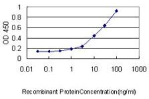 Detection limit for recombinant GST tagged KLRC3 is approximately 0. (KLRC3 antibody  (AA 132-240))