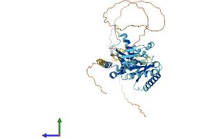 Protein Structure (PS) image for Ras-Related GTP Binding D (RRAGD) (AA 1-449) protein (His tag) (ABIN7558305)