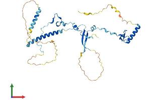 AlphaFold protein structure predicition of Human Recombinant VPS72 Protein, UniprotID Q15906