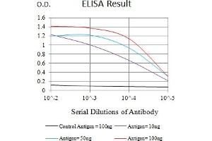 Black line: Control Antigen (100 ng),Purple line: Antigen (10 ng), Blue line: Antigen (50 ng), Red line:Antigen (100 ng) (RAB27B antibody  (AA 2-218))
