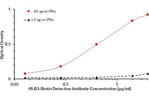 Cytokine IFN gamma (IFNy) sandwich ELISA (enzyme-linked immunosorbent assay) that utilizes antibody clone NIB42 as the protein capture antibody and antibody clone 4S. (Interferon gamma antibody  (Biotin))