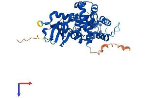 OGG1 Protein (AA 1-345) (His tag)