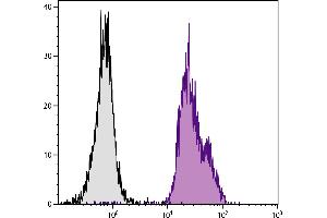 Chicken peripheral blood lymphocytes were stained with Mouse Anti-Chicken β2 Microglobulin-FITC. (HLAG antibody  (Biotin))