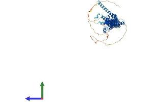 AlphaFold protein structure predicition of Human Recombinant PRC1 Protein, UniprotID O43663 (PRC1 Protein (AA 1-620) (His tag))