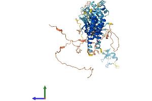 AlphaFold protein structure predicition of Human Recombinant RNF112 Protein, UniprotID Q9ULX5 (RNF112 Protein (AA 1-631) (His tag))