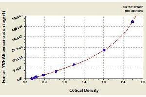 Typical standard curve (YWHAE ELISA Kit)