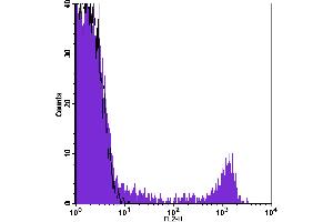 Flow Cytometry (FACS) image for anti-CD8 (CD8) antibody (ABIN2145444) (CD8 antibody)