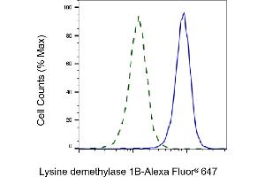 Validation of Lysine demethylase 1B knockdown using flow cytometry. (Recombinant KDM1B antibody)