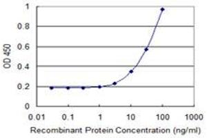 Detection limit for recombinant GST tagged EIF3I is 1 ng/ml as a capture antibody. (EIF3I antibody  (AA 226-325))