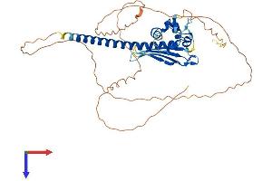 AlphaFold protein structure predicition of Human Recombinant TSPYL4 Protein, UniprotID Q9UJ04 (TSPY-Like 4 Protein (TSPYL4) (AA 1-414) (His tag))