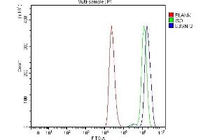 Flow Cytometry analysis of THP-1 cells using anti-B3GNT2 antibody (ABIN7602134).