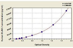 Typical standard curve (ELAVL1 ELISA Kit)