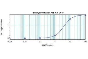 Image no. 1 for anti-Ciliary Neurotrophic Factor (CNTF) antibody (Biotin) (ABIN465710) (CNTF antibody  (Biotin))