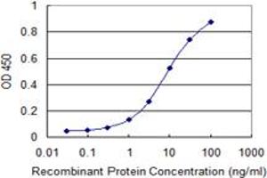 Detection limit for recombinant GST tagged PTPRN2 is 0. (PTPRN2 antibody  (AA 108-212))