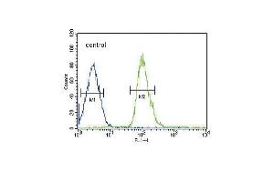 DUSP2 Antibody (C-term) (ABIN653027 and ABIN2842647) flow cytometric analysis of HepG2 cells (right histogram) compared to a negative control cell (left histogram).