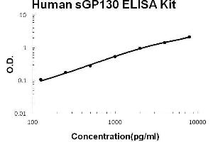 Human Gp130/IL6ST PicoKine ELISA Kit standard curve