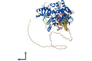 AlphaFold protein structure predicition of Human Recombinant MTMR8 Protein, UniprotID Q96EF0