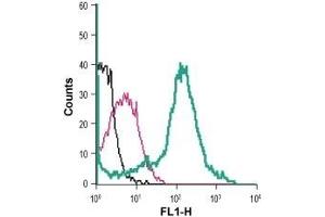 Cell surface detection of nAChRα7 in live intact mouse J774 macrophage cells: (black line) Cells.