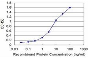 Detection limit for recombinant GST tagged HMGB2 is approximately 0. (HMGB2 antibody  (AA 1-195))