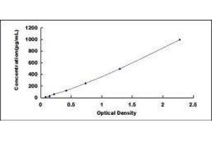 ELISA image for Defensin, alpha 6, Paneth Cell-Specific (DEFA6) ELISA Kit (ABIN2014308)