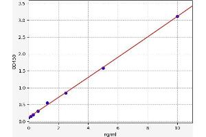 Typical standard curve (Collagen Type I ELISA Kit)