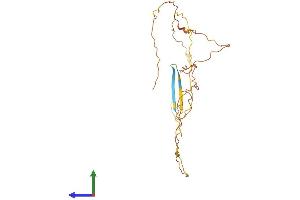 Protein Structure (PS) image for Family with Sequence Similarity 220, Member A (FAM220A) (AA 1-260) protein (His tag) (ABIN7557360)