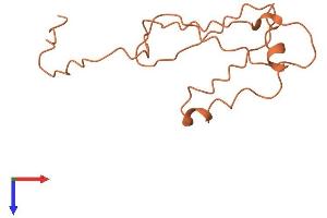 AlphaFold protein structure predicition of Human Recombinant FBXL19-AS1 Protein, UniprotID Q494R0 (FBXL19-AS1 Protein (AA 1-122) (His tag))